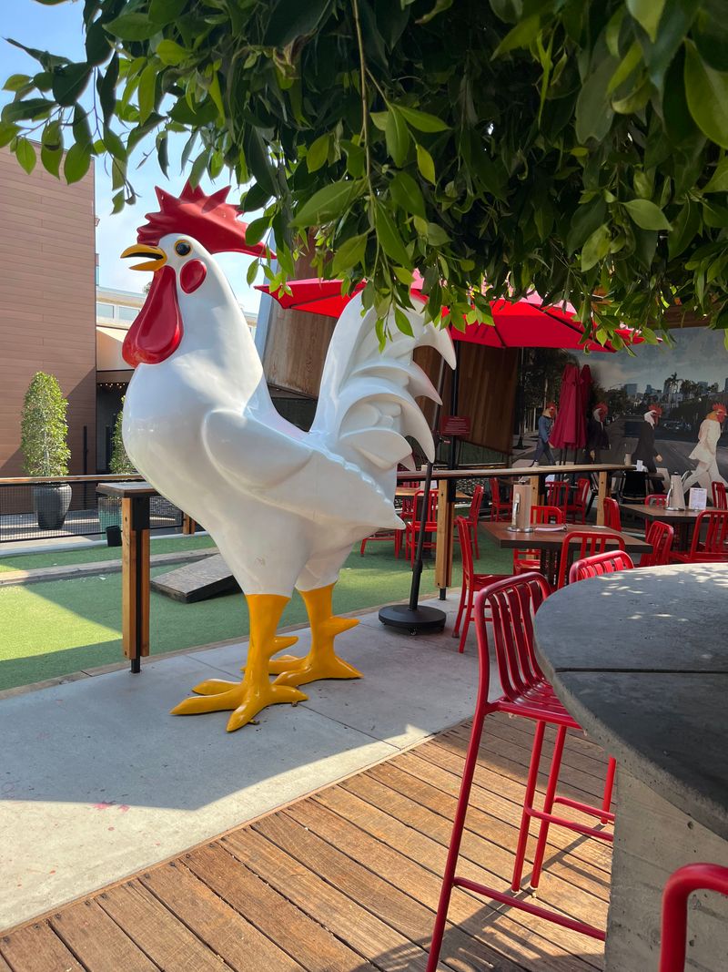 Family Friendly, Pet Friendly Patio