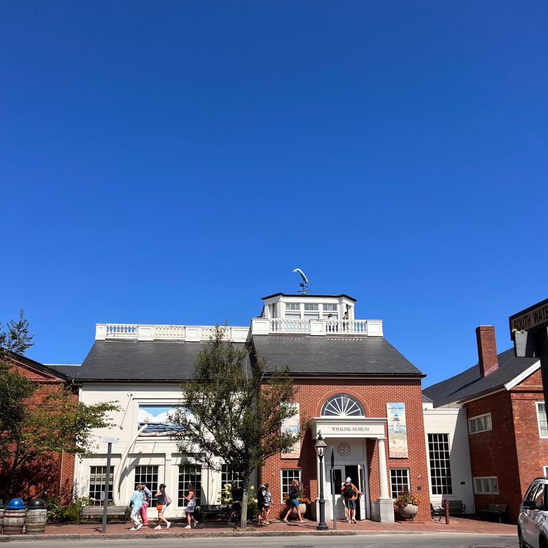 Whaling Museum After Hours Vibe