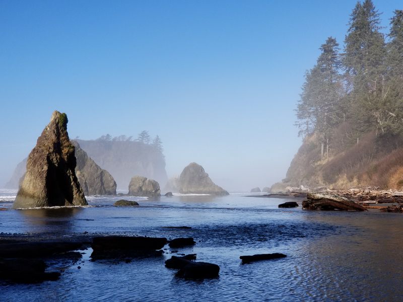 Olympic National Park (rainforest/coast), WA