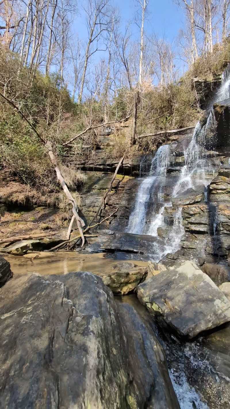 Scenic Views in Winter