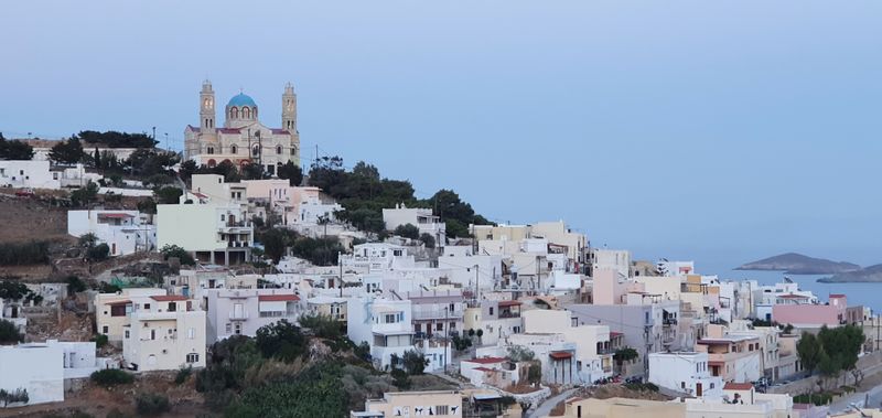 Stray cats on Syros and why help is needed