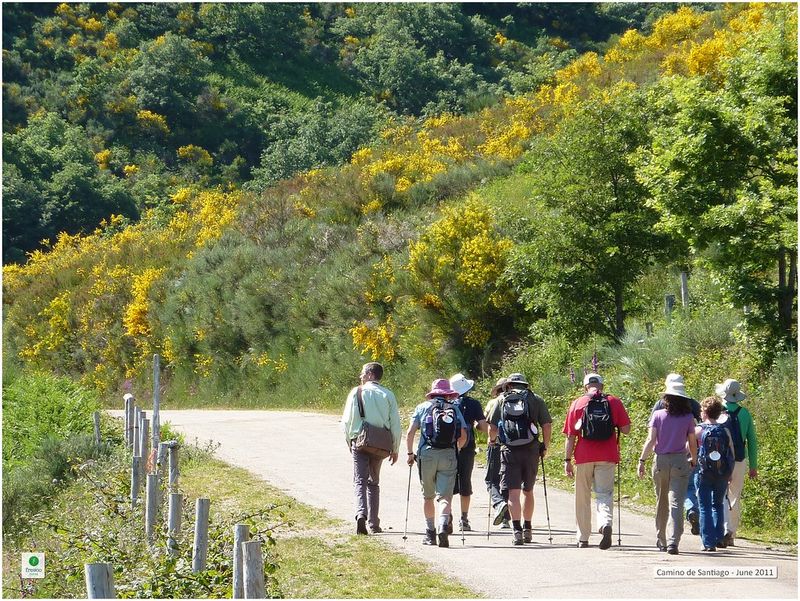 Walk the Camino de Santiago and finish at the official Pilgrim's Reception Office in Santiago