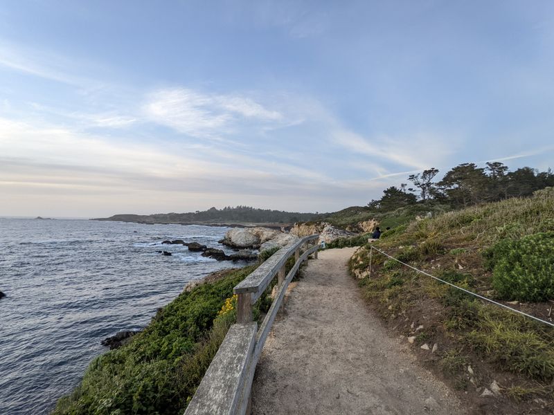 Bird Island Trail - Point Lobos