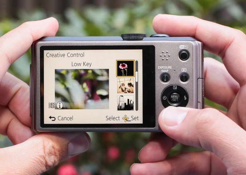 Compact Point-and-Shoot Cameras (Canon PowerShot / Panasonic ZS)