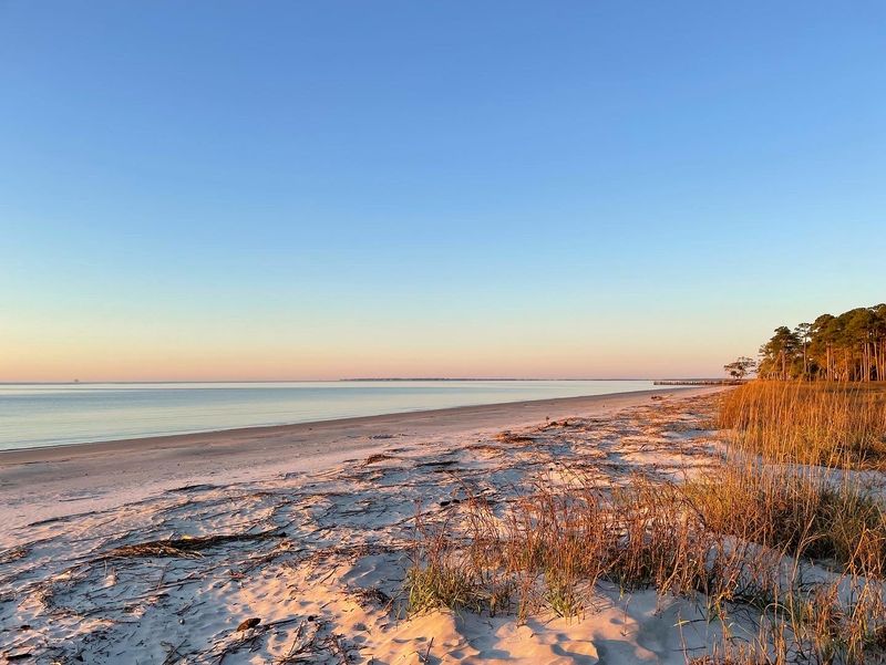 Quiet Beaches And Wild Edges