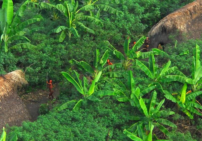 Uncontacted Tribal Lands in Dense Jungles — Human Mysteries