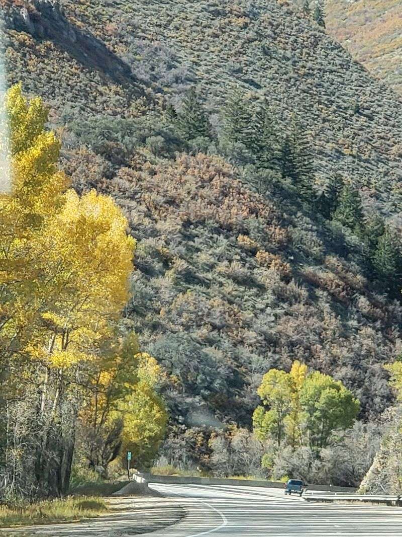 Midway’s Swiss Charm Next Door