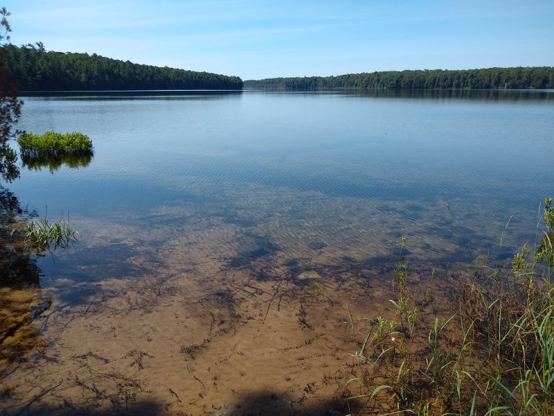 Loon Lake, Sylvania Wilderness, Michigan