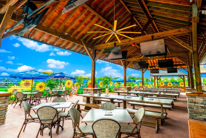 Families, Groups, and First Timers