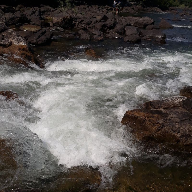 Take a Guided Rafting Adventure