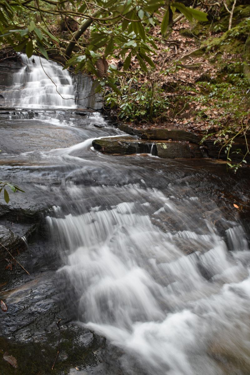 Excellent for Photography & Nature