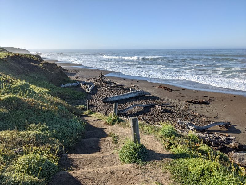 Moonstone Hunting and Tidepool Etiquette