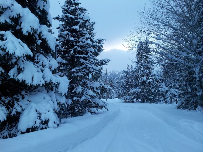 Brundage Mountain’s Quiet Powder Stashes