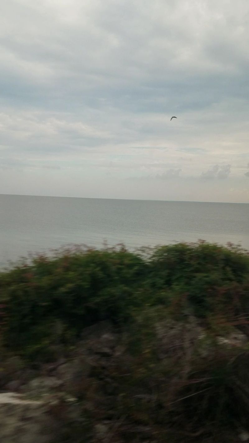 Fear Fades for Some Over Time