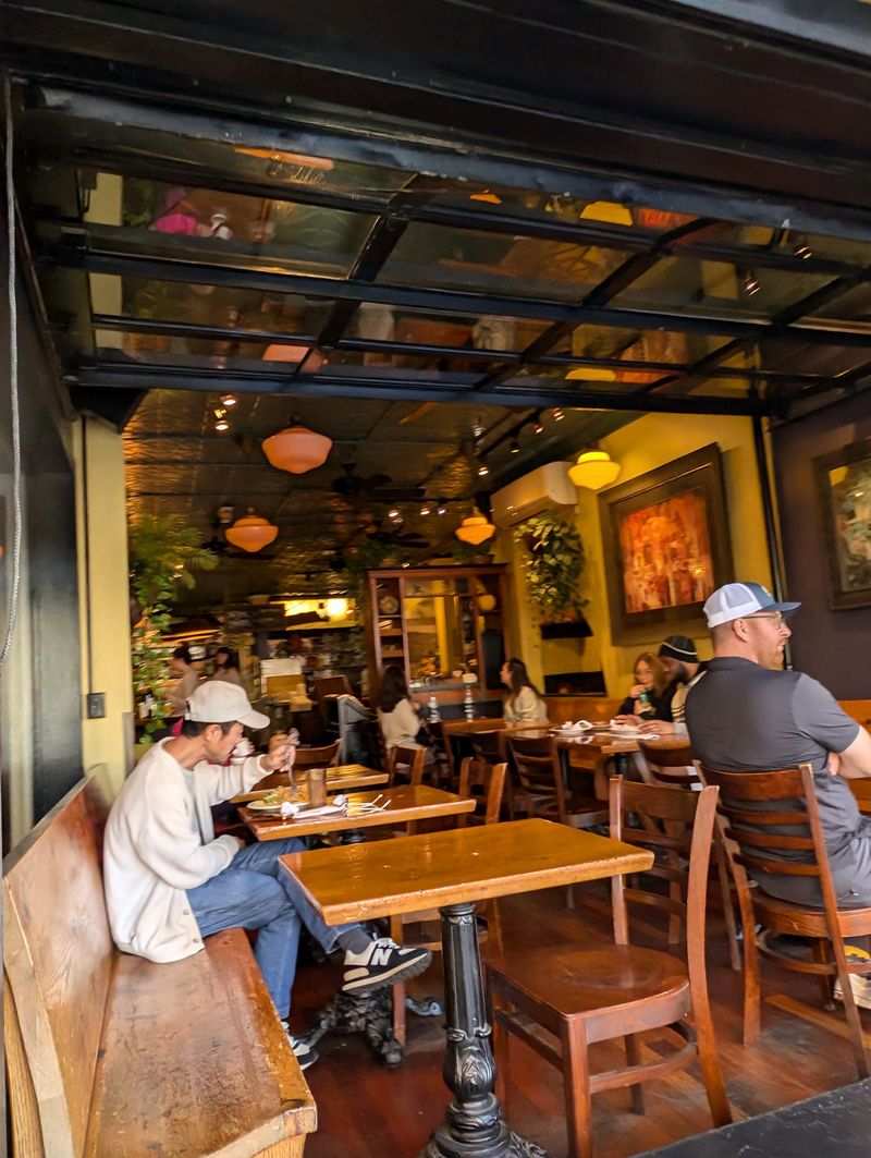 Art, Plants, and Cozy Vibes