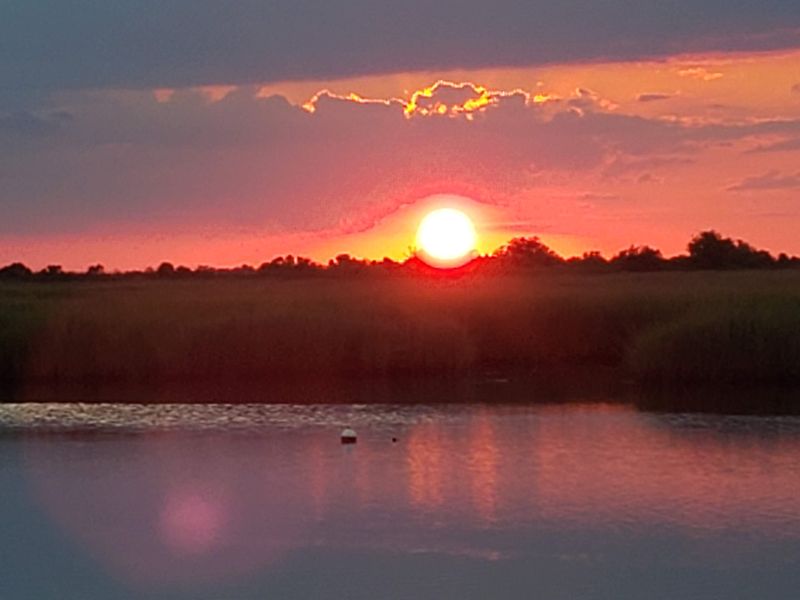 Swamp and Airboat Tours Between Meals