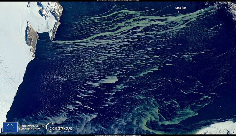 The food calendar shifts too - starting at the bottom of the food chain