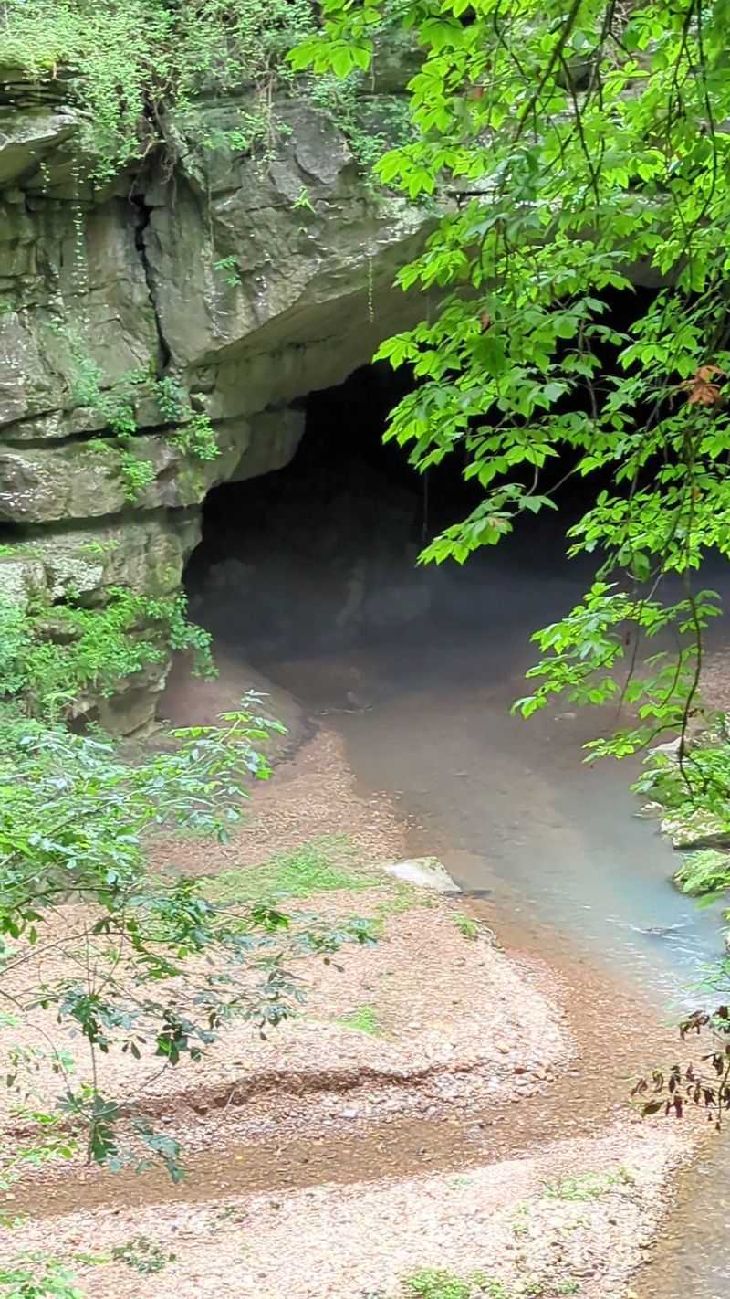 A Seven-Mile Cave System