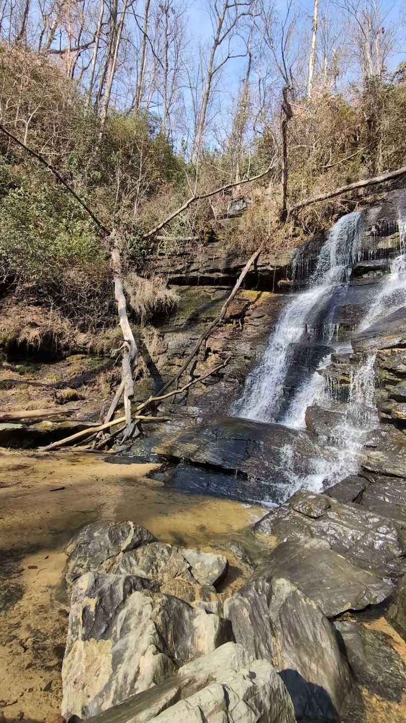 Scenic Views in Winter