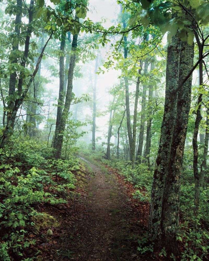 It Overlaps the Appalachian Trail