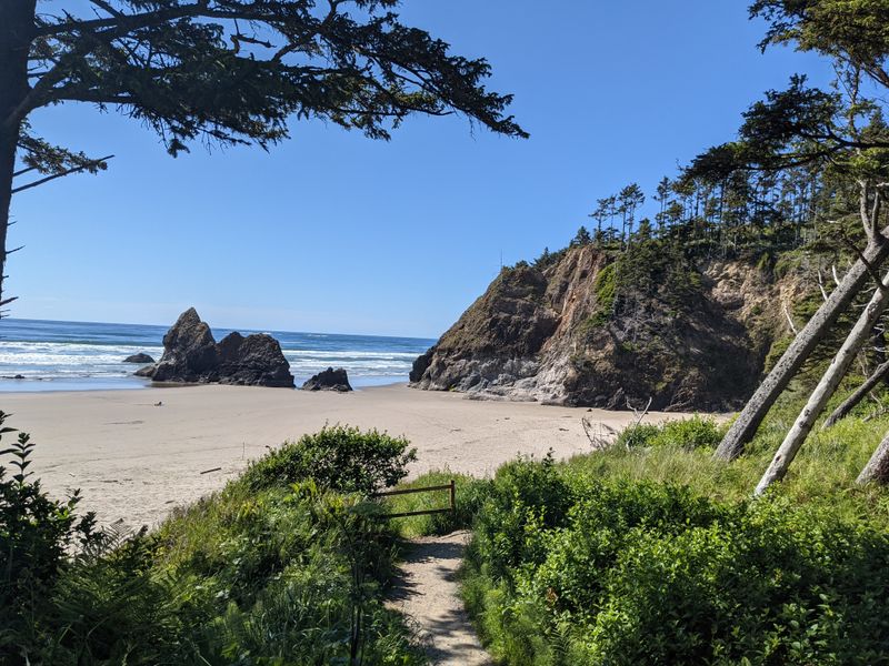 Arcadia Beach Tide Pool Ramble