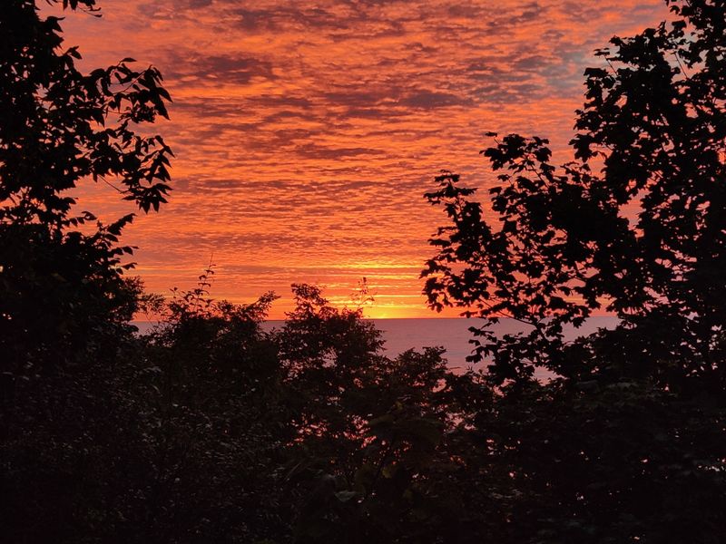 Seasonal Swings and Rhythm