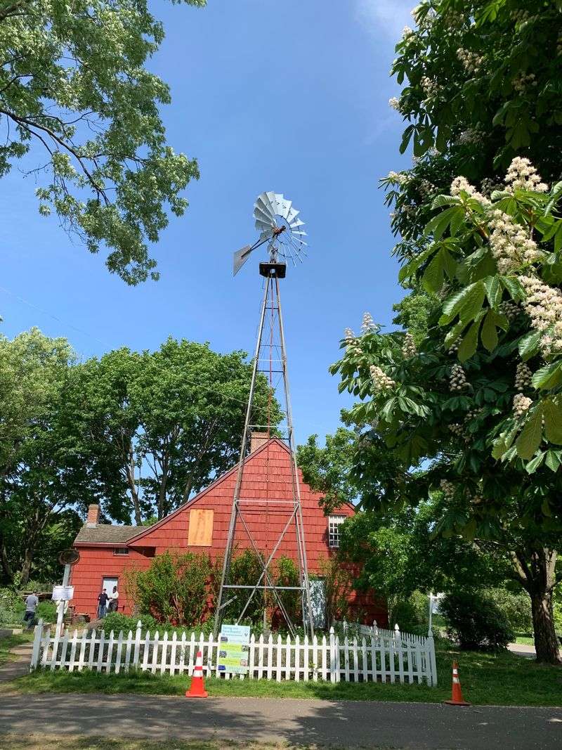 Apple Orchard and Seasonal Blooms