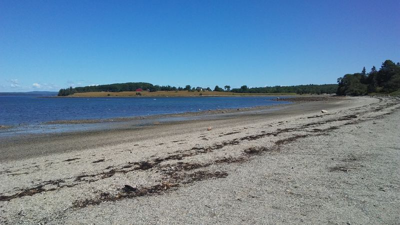 Hidden Beaches and Tidal Rooms