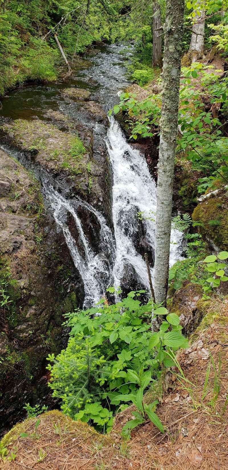Manganese Falls Gorge