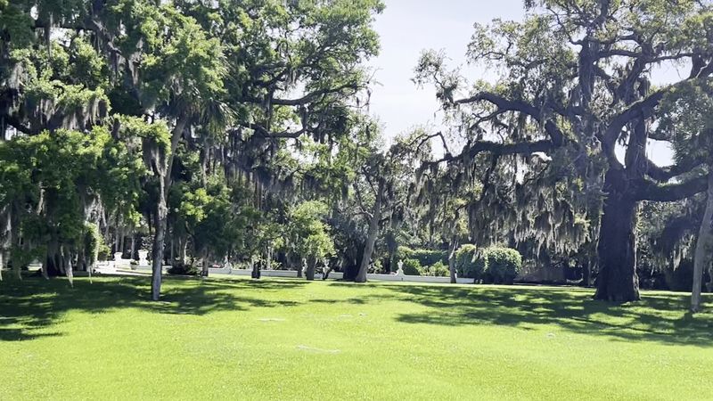 Golf Among Live Oaks