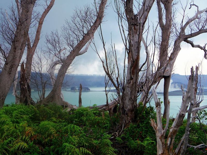 The Constant Presence Is the Worst Part