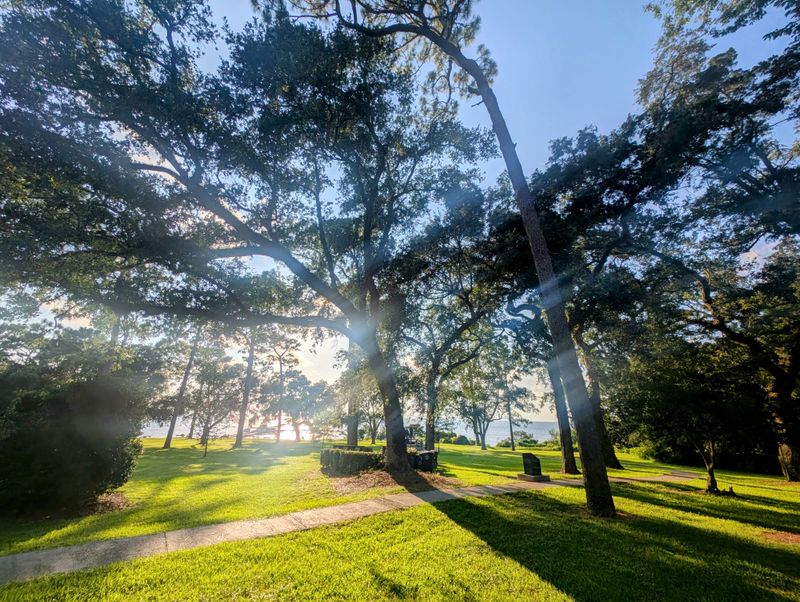 Knoll Park (birdwatching with a local feel)