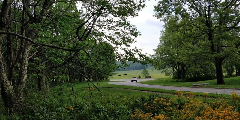 Wildlife Sightings Are Common