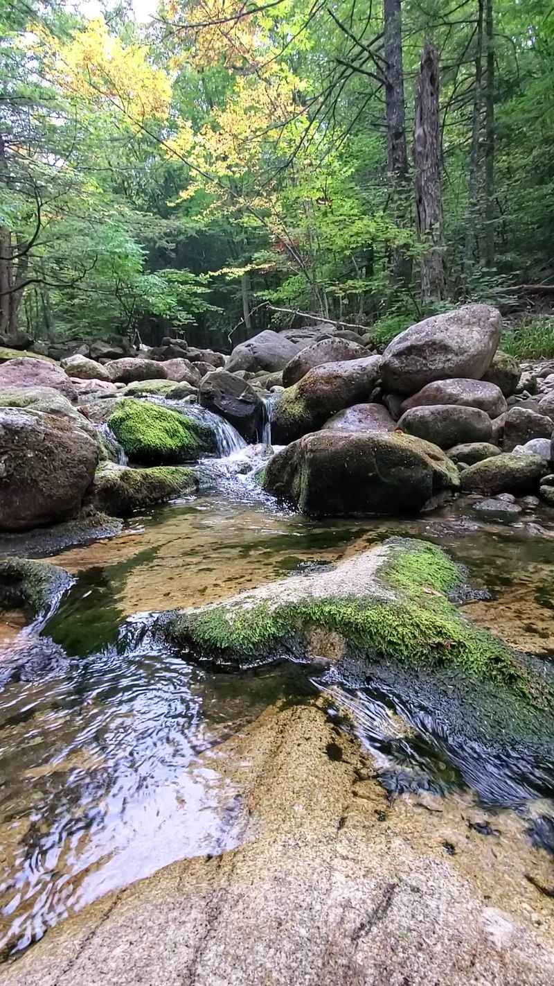 Photography And Lighting Tips