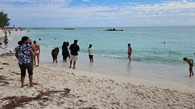 Weather And Best Times