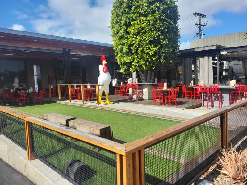 Plane Watching On The Flight Path