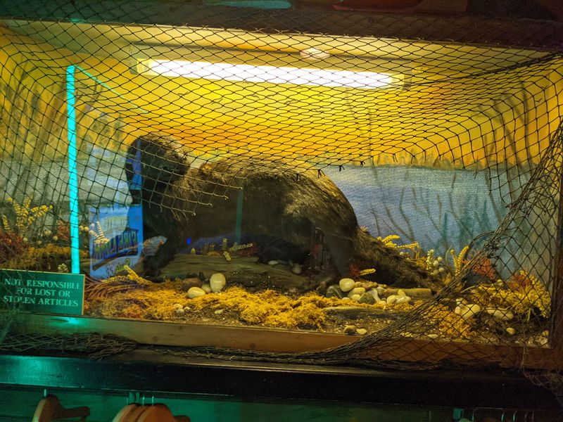 Plan Your Visit Details