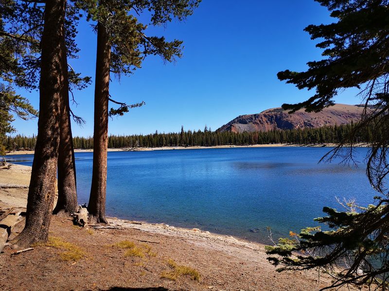 Lodging That Won’t Break The Bank