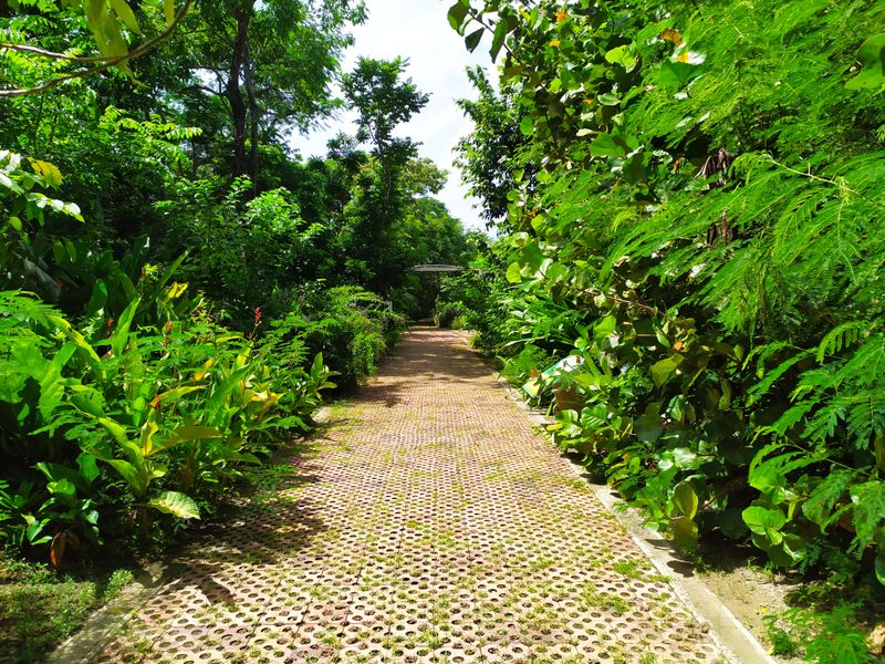 Jardín Botánico de San Andrés