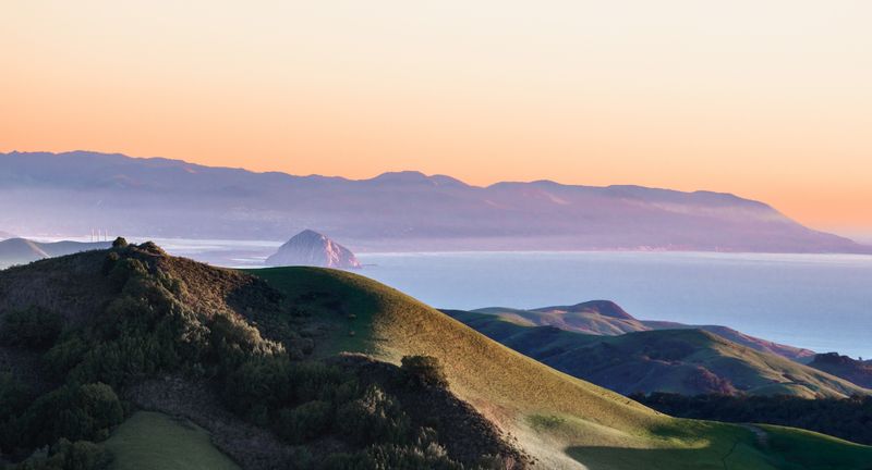Cambria’s Monterey Pine Forest
