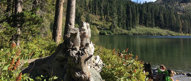 Picnic Areas Offer Front-Row Views