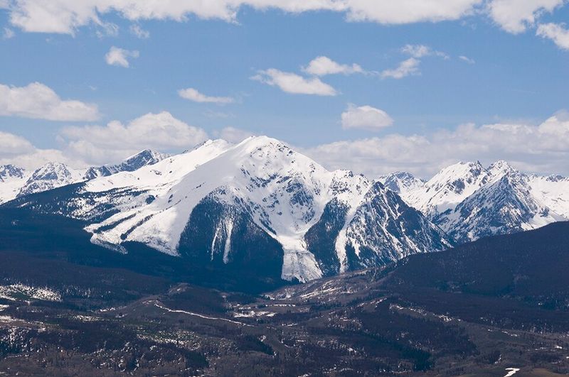 Local Wildlife Watching