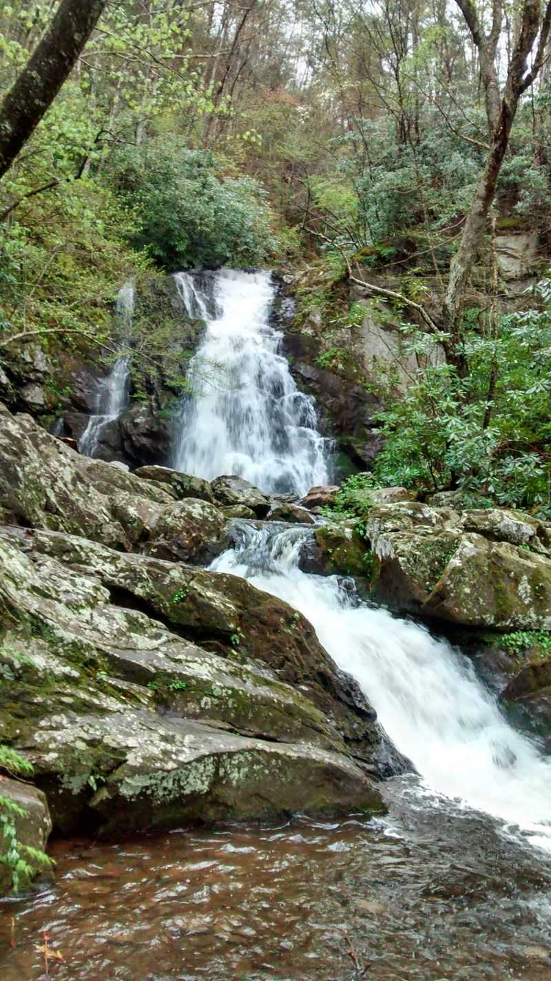 Explore Tuckaleechee Caverns — The Greatest Site Under the Smokies