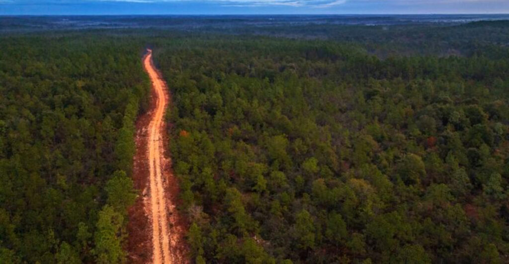 Florida Quietly Opened a New State Park in the Panhandle – Here’s Why It’s Special
