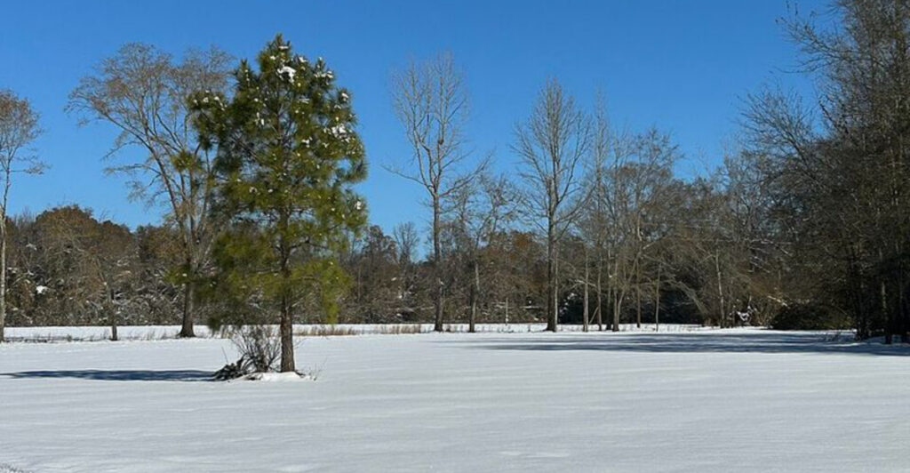 Florida’s Rare Snow Chance: Could Gulf-Effect Snow Flurries Hit the Sunshine State?