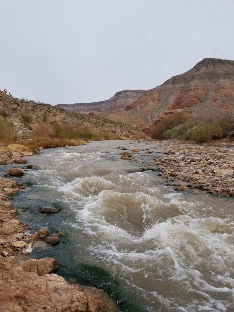 Scenic Hiking Trails