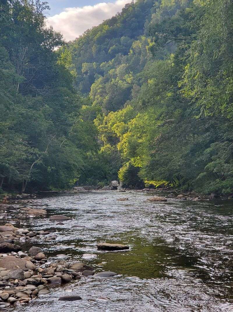 Your Townsend Home Base — Cabins, Cafes, and Riverside Ease