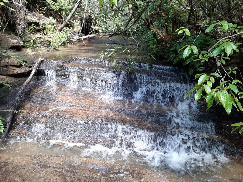 Creek Crossings & Water Sounds