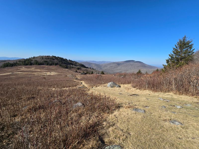 Lewis Fork Wilderness, Virginia