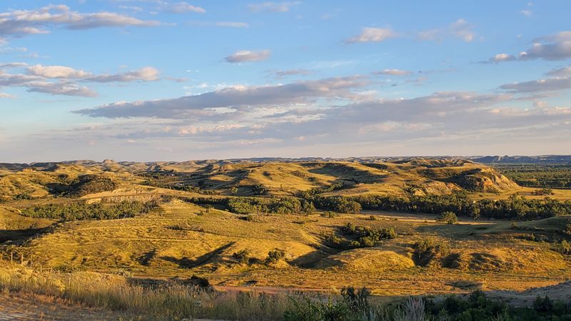 Roosevelt’s Badlands Awakening